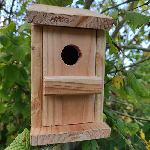 Installer un nichoir dans son jardin pour oiseaux - Abri oiseau